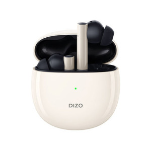 Dizo GoPods Active Noise Cancellation Earbuds