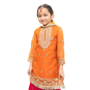 Zr Collection Kids 3Pcs Embroidered Net Eid Collection