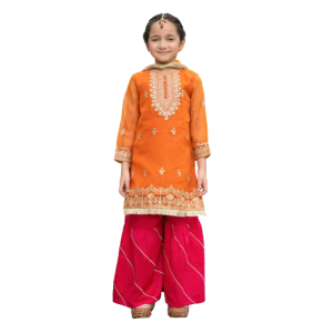 Zr Collection Kids 3Pcs Embroidered Net Eid Collection