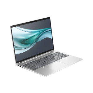 HP EliteBook 660 G11 16
