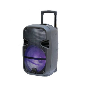 Xtreme Picnic King Speaker Fancy Light With Multi Light Changer