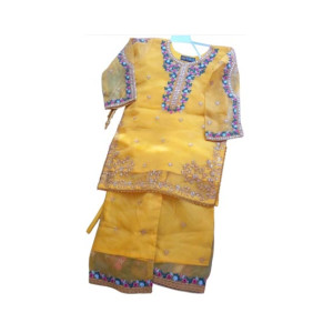 Zylo Collection Beautiful Mehndi Dress For Girls