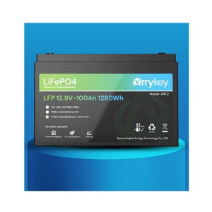 Dyness LiFePO4 AR1.2 LFP 12.8V 100Ah 1280Wh Lead Acid Replacement Battery
