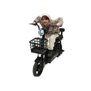 Evee Flipper Girls Scooter - 2025 Model