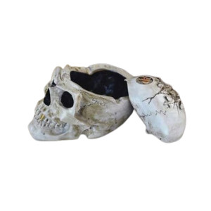 Godzilla Home Interior Frame Skull Ashtray
