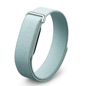 Google Fitbit Air Fitness Band
