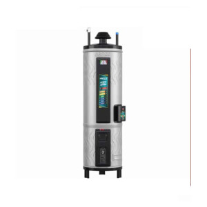 Hanco Hybrid Electric and Gas Geyser 35 Gallon (35-GL)