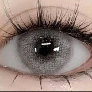 AB Techify Euro Grey Soft Color Contact Lenses Kit