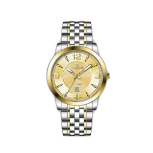 Timezone Infinity Nebula Watch For Men Two Tone Golden ( TZ-1333)