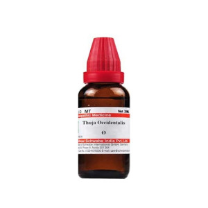 Karachi Shop Thuja Occidentalis Mother Tincture Q