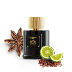 Ardalteeb Luminary Eau de Parfum 100ml For Him
