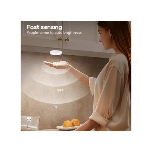 Ayesha's Collection Motion Sensor LED Light