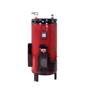 Nasgas Deluxe Hybrid Geyser 30 Gallon (DEG-3030)