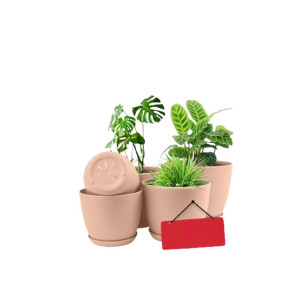 Araaish Decorative Flower Pots With Drainage Without Plants - Pack Of 5