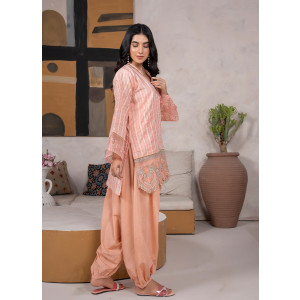 Ahlam Peach Glow Embroidered Jacquard Banarsi 2 Piece Suit
