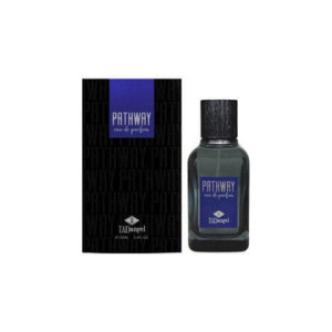 Tad Angel Pathway Edp 100ml For Men