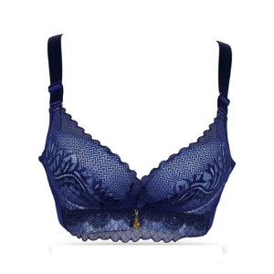 Purple Bag Fancy Lace Double Padded Wireless Pushup Bra Blue (0033)