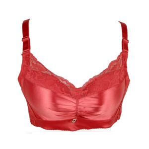Purple Bag Fancy Lace Padded Wireless Bra Red (0010)