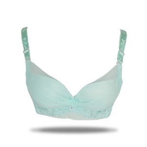 Purple Bag Lace Net Soft Padded Under Wired Bra Feroozi (OFW0037)