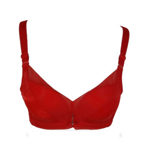 Purple Bag Stylish Net Double Padded Wireless Pushup Bra Red (0027)
