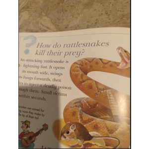I Wonder Why Big Of Knowledge Book
