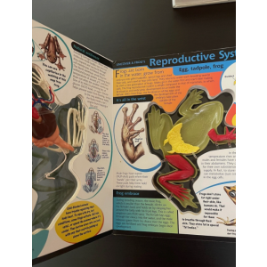 Uncover a Frog Book