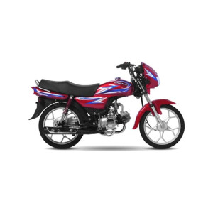 Unique UD 100 Self Start & Alloy Rims - Model 2026