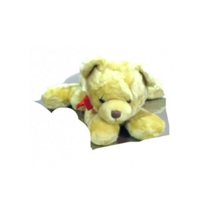 ZT Fashions Stuffed Bear Toy (0085)