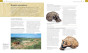 iShopping - The Quality Store World History Book From the Ancient World