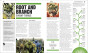 iShopping - The DC Book: A Vast and Vibrant Multiverse Simply Explained
