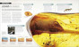 iShopping - The Big History Book: The Greatest Events of All Time