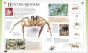 iShopping - The Quality Store Big Book of Knowledge Book