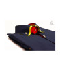 iShopping - Elegance Republic Cotton Shirt Mirage Blue (1033)
