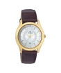 iShopping - Titan Tycoon Analog Men's Watch - Brown (1559YL01)