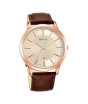 iShopping - Titan Analog Men's Leather Watch - Brown (1825WL02)