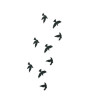 iShopping - Ferozi Traders Fly Birds Tattoo Sticker