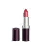iShopping - Rimmel London Lasting Finish Lipstick - Drop of Sherry (058)