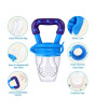 iShopping - Muzmail Store Fresh Fruit Feeder For Baby