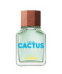 iShopping - Benetto Green Cactus Eau De Toillete For Men - 100ml
