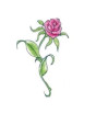 iShopping - M-Mart Red Rose Blossom Flower Tattoo Sticker