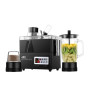 iShopping - Anex Deluxe Juicer Blender and Grinder (AG-175)