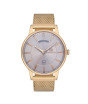 iShopping - Bigotti Stainless Steel Men's Watch Golden (BG.1.10161-3)