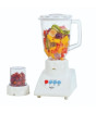 iShopping - Bingo Deluxe 2 in 1 Blender & Grinder (BX-490)