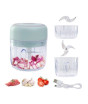 iShopping - G-Mart Portable USB Vegetable Chopper 250ml