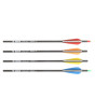 iShopping - Silk Road Traders 6.2mm Pure Carbon Changeable Tip Hunting Archery Arrows (MSTJ-100S) - Spine 300 12 Pcs