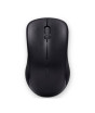 iShopping - Rapoo Wireless Optical Mouse Black (1620)