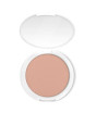 iShopping - Color Studio Pro Blush Powder Aztec (231)