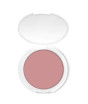 iShopping - Color Studio Pro Blush Powder Cancun (240)