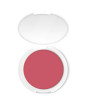 iShopping - Color Studio Pro Blush Powder Desert Rose (217)