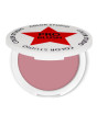 iShopping - Color Studio Pro Blush Powder Medusa (220)
